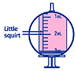 Little squirt
